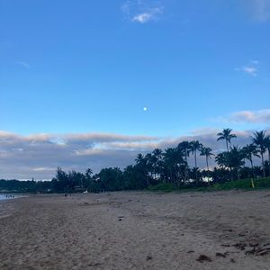 Meet your Posher, Serena